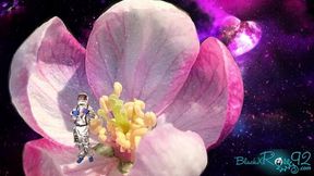 A Shrinking Sci-Fi Adventure In Space