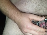 Cumming hard while locked in chastity cage for Mistress Eve Belle Adams