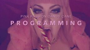 Pink Passion Candy Cane Programming Loop 4K