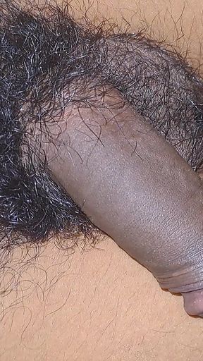 My Penis