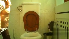 wc pissing