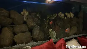 Isabel Takes a Stern Fucking