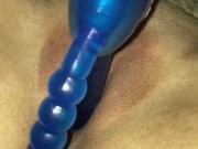 Favorite toy