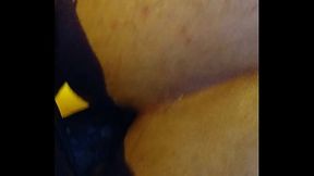 Putito de Mistress Carol 2