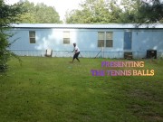 Dicklovely's Tennis balls