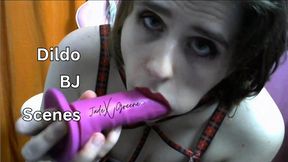 Dildo BJ Scenes (compilation)