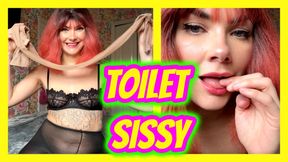Pantyhose Toilet Sissy