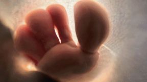 8K VR360 MARTINA Tony sneakers smelly socks POV to humiliate losers