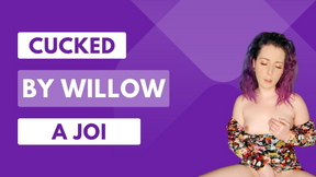 Willow Cucks You - a JOI