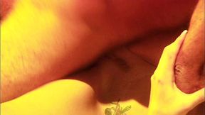 brooke banner takes outdoor doggy and cumshot from steven st croix