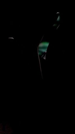 Having a Threesome with Two Thirsty Brunette Girls