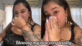 Blowing my nose extra loudly
