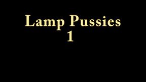 Lamps And Pussies 1