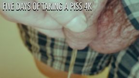 Five Days of Taking a Piss 4K