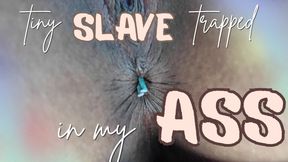 Tiny Slave Trapped in My Ass