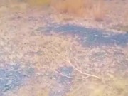 straight man on duty sends a hot video to his girlfriend in the bush