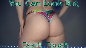 You Can Look But, Don't Touch!