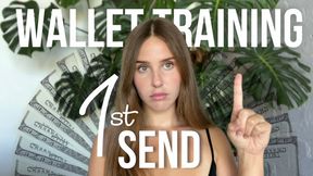Wallet Training: 1st Send