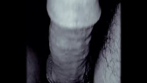 Morena&ccedil_o Belzebu