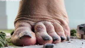 Fair Trade City is here - Part 1