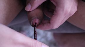 trying dick sounding