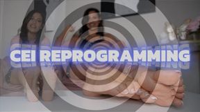 CEI Reprogramming