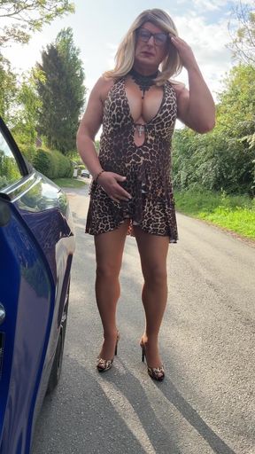 Stunning moment from &quot;Sexy Crossdresser kellycd2022 enjoying an afternoon car ride in my leopard print dress and seamless&quot;