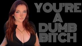 You're a Dumb Bitch - Homewreck Mind Fuck Captivate Goddess Worship Beta Loser Verbal Humiliation Degradation