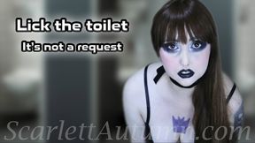 Lick the toilet I used - WMV HD 1080p