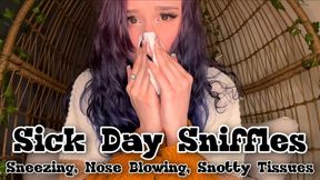 Sick Day Sniffles Sneezing and Nose Blowing