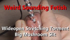 Weird Sounding Fetish Wideopen slit pulling torment on Big Mushroom Head w Cumshot finale