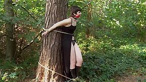 Hunted In The Woods