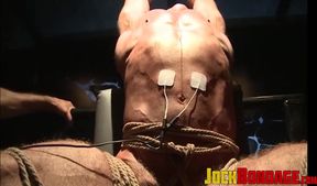 Captivator Mulengro let his captive ensured the painful electrodes in his stomach