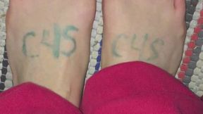 XL T SUVENIOR LICENSE PLATES TALK DAY MUNKEY PAW