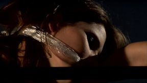 Sex Slave Ready For Some Torrid Actions