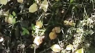 pov she Whipped out my Dick for me and Held it inside Place to take a Piss inside the Bushes