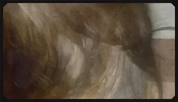 Emily Willis and Hotwife: Unleashing Desire 12:57720p