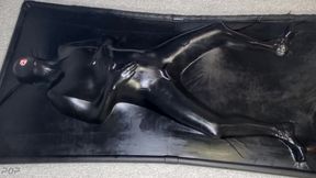 Vacbed + Lube + Bad Dragon Nox Dildo + Wand = Multiple Orgasms For Miss Perversion