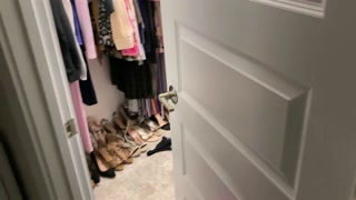 Willow Lansky's Topless Food Reviews Lester's Fixins Bacon Soda