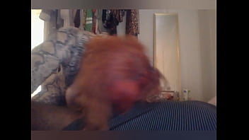 Tranny goes crazy over BBC