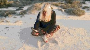 Trouble on a Walk AVI