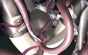 D hentai girl gets fucked by tentacles