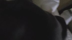 My Hard Cock in Your Face