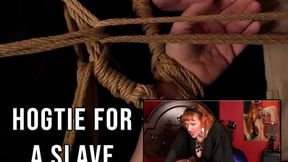 Hogtie for a slave