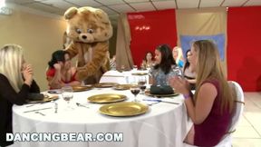 Luring madam - crazy clip - Dancing Bear