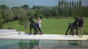 Sexy Blonde Analyst in Wild BDSM Fuck Fest