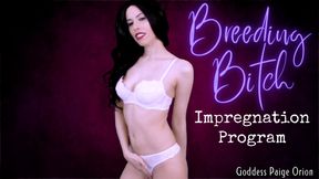 Breeding Bitch Impregnation Program