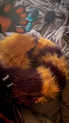 Tail Brushing ASMR