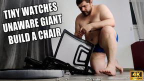 KingMarti: Tiny Watches Unaware Giant Build A Chair - 4k UHD 2160p