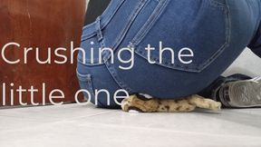 Small, squashed in jeans